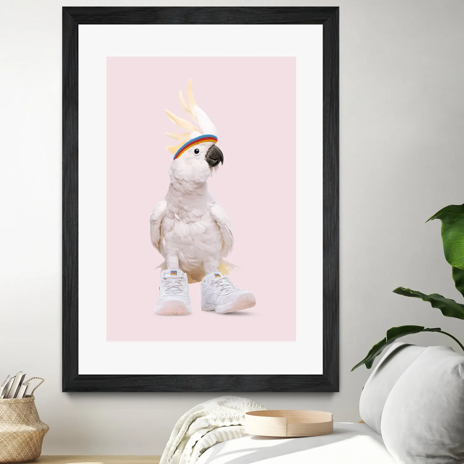 SNEAKER COCKATOO
