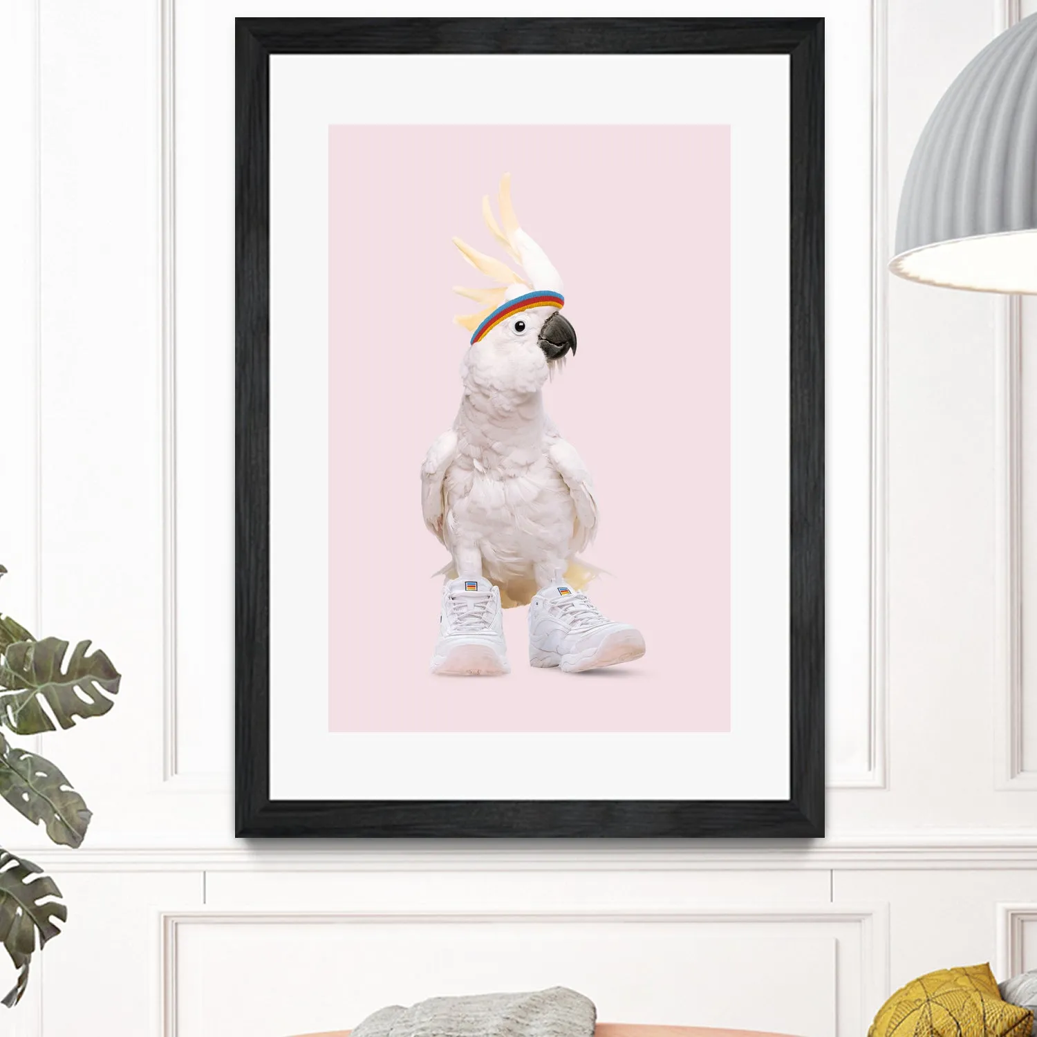 SNEAKER COCKATOO