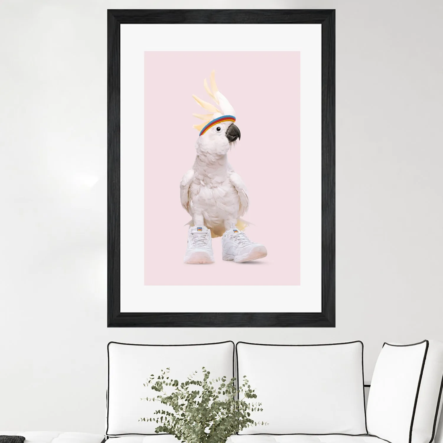 SNEAKER COCKATOO