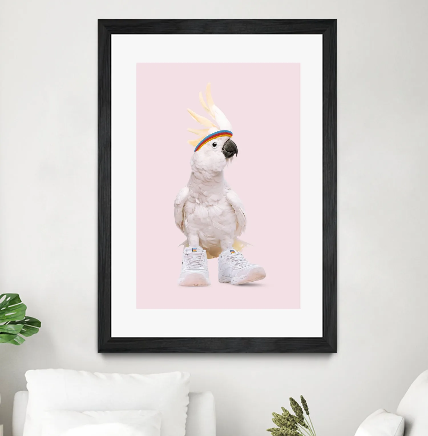 SNEAKER COCKATOO