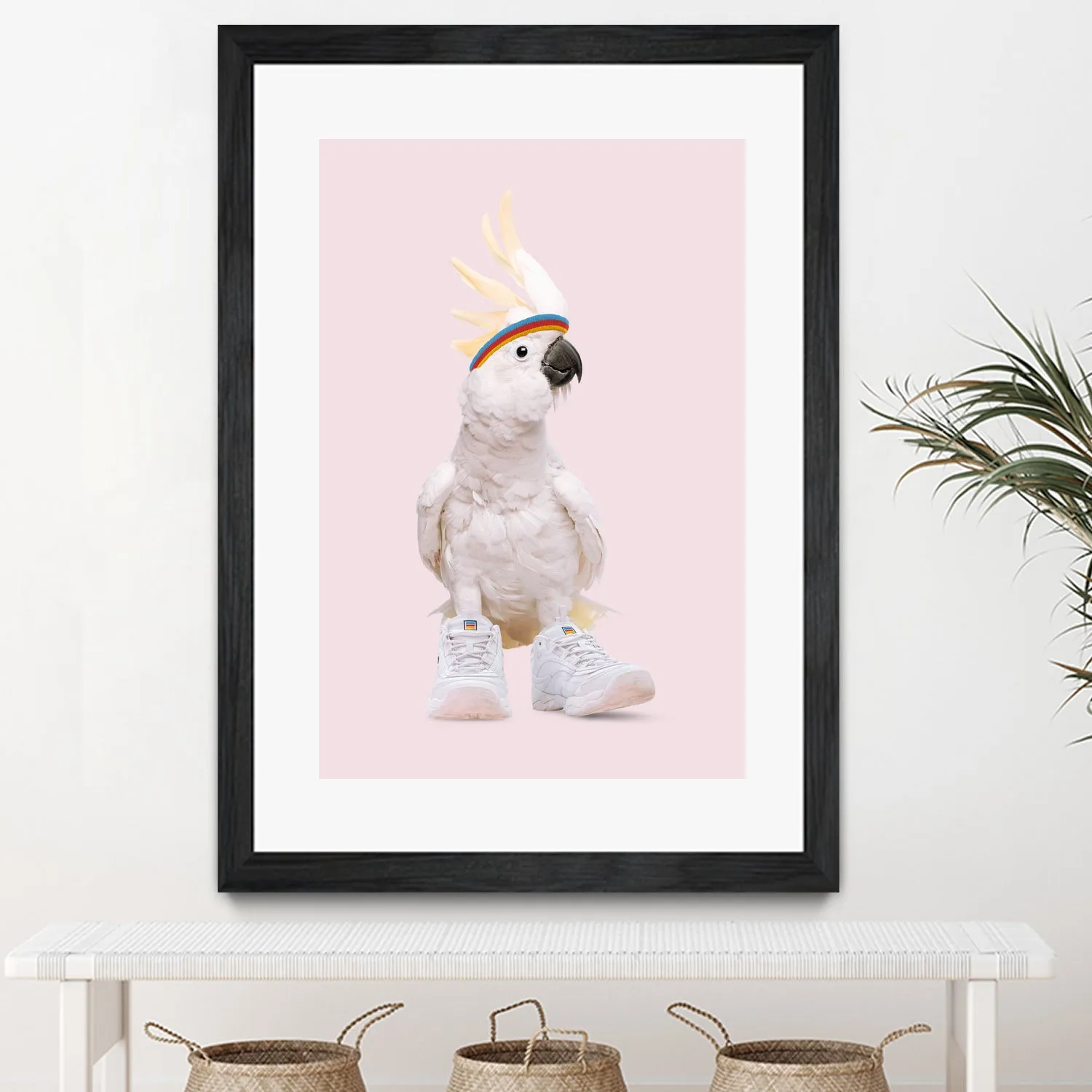 SNEAKER COCKATOO