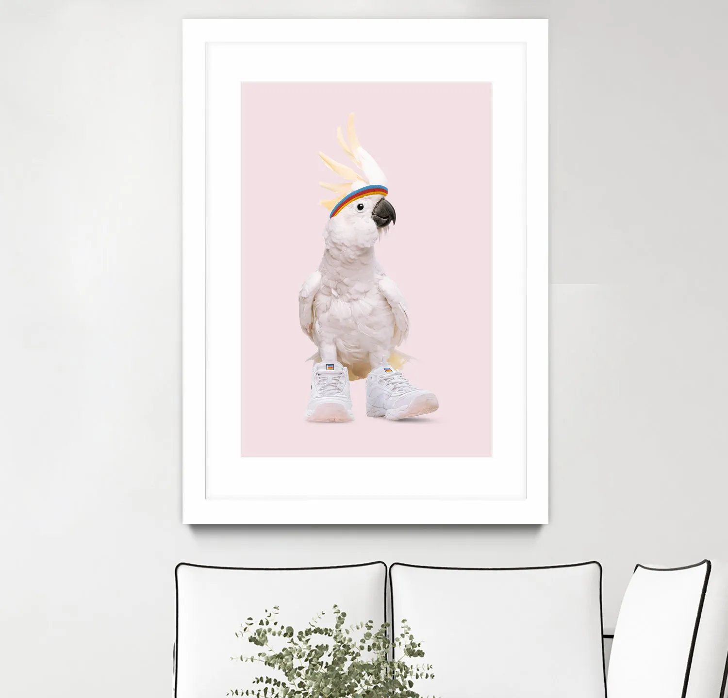 SNEAKER COCKATOO