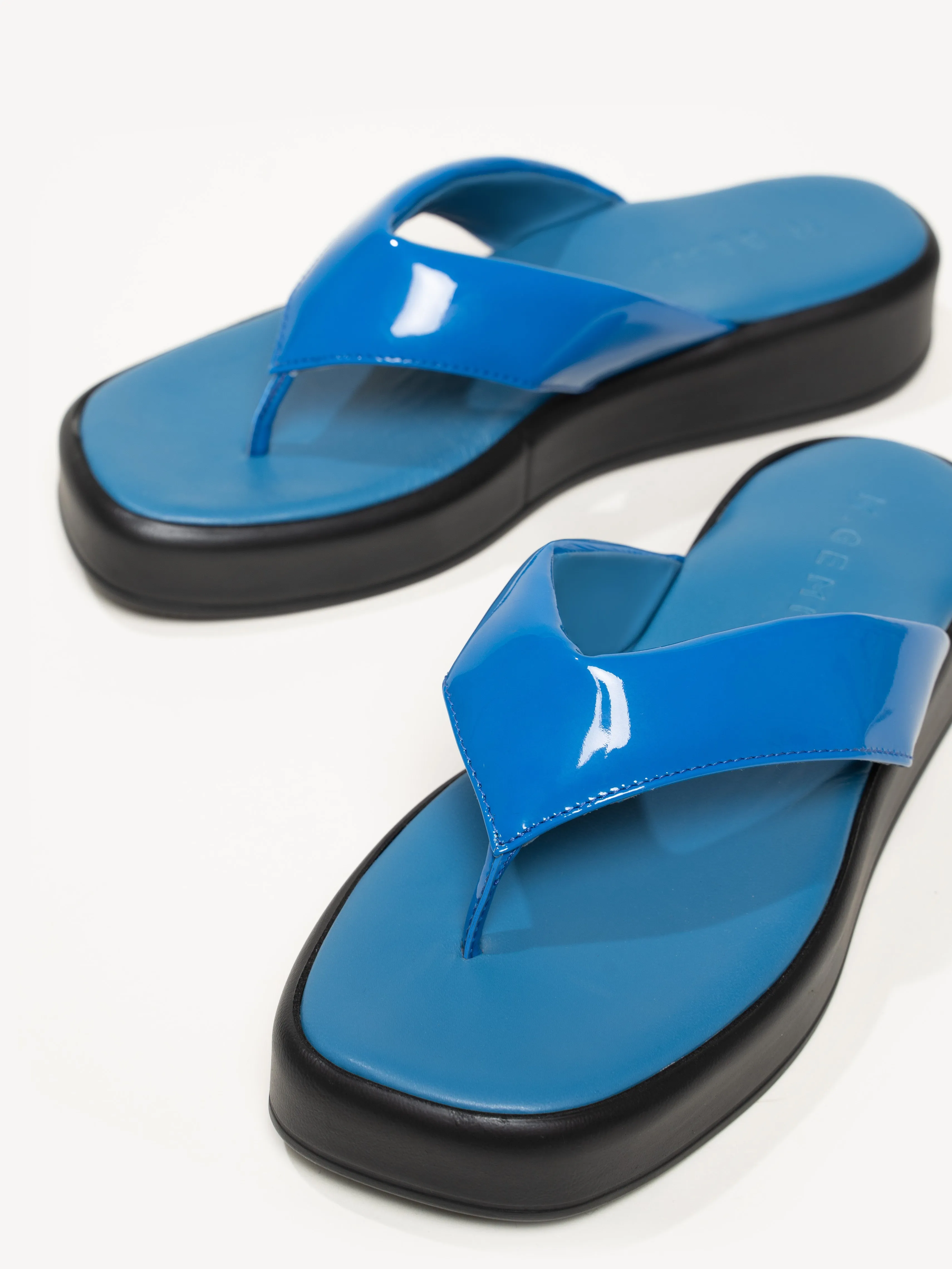 The Rosella (Sample Sale)