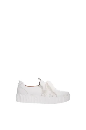 WILT-WHITE